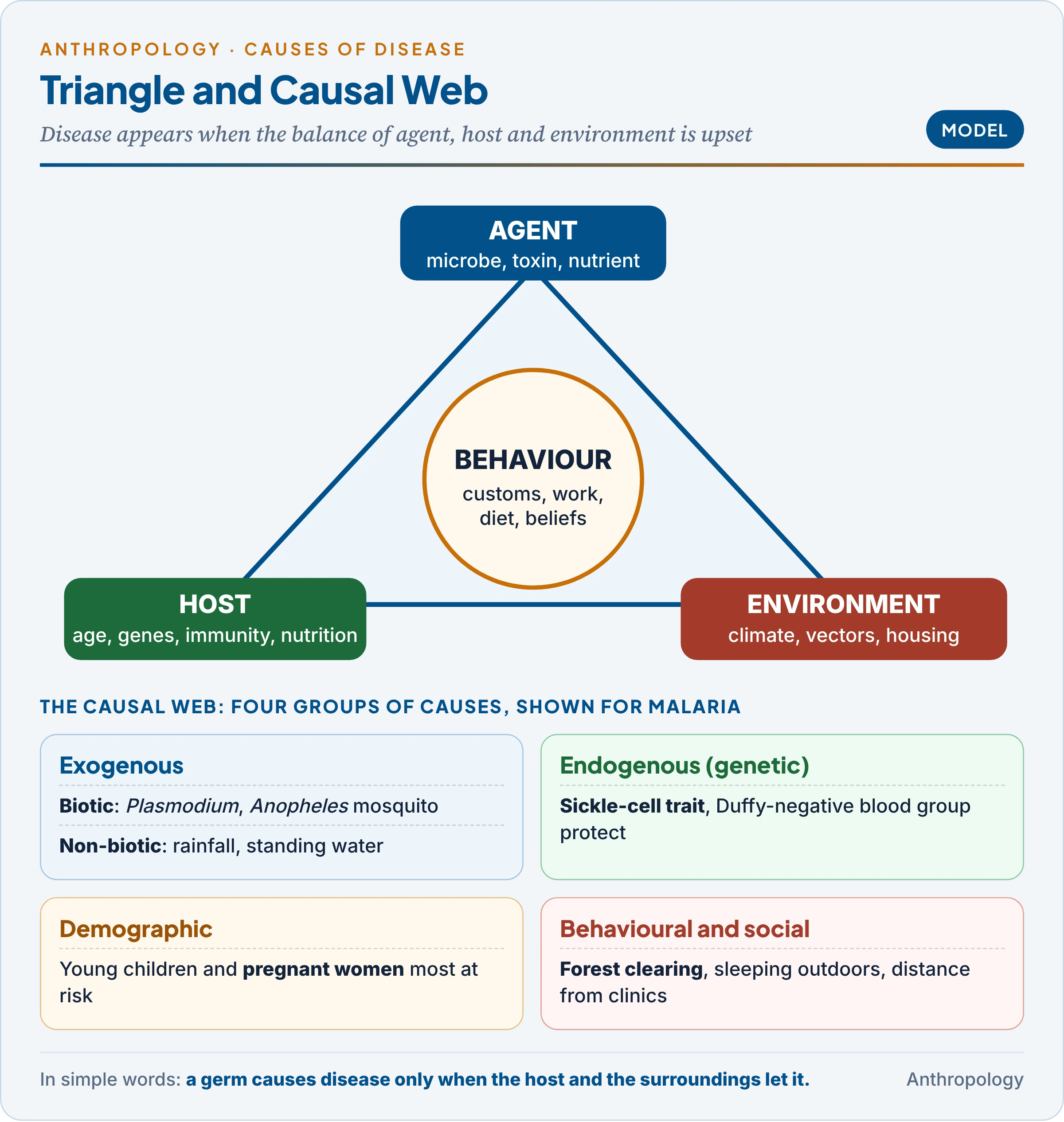 The epidemiological triangle of agent, host and environment, with behaviour at the centre, and the causal web of exogenous, endogenous, demographic and behavioural factors, illustrated with malaria
