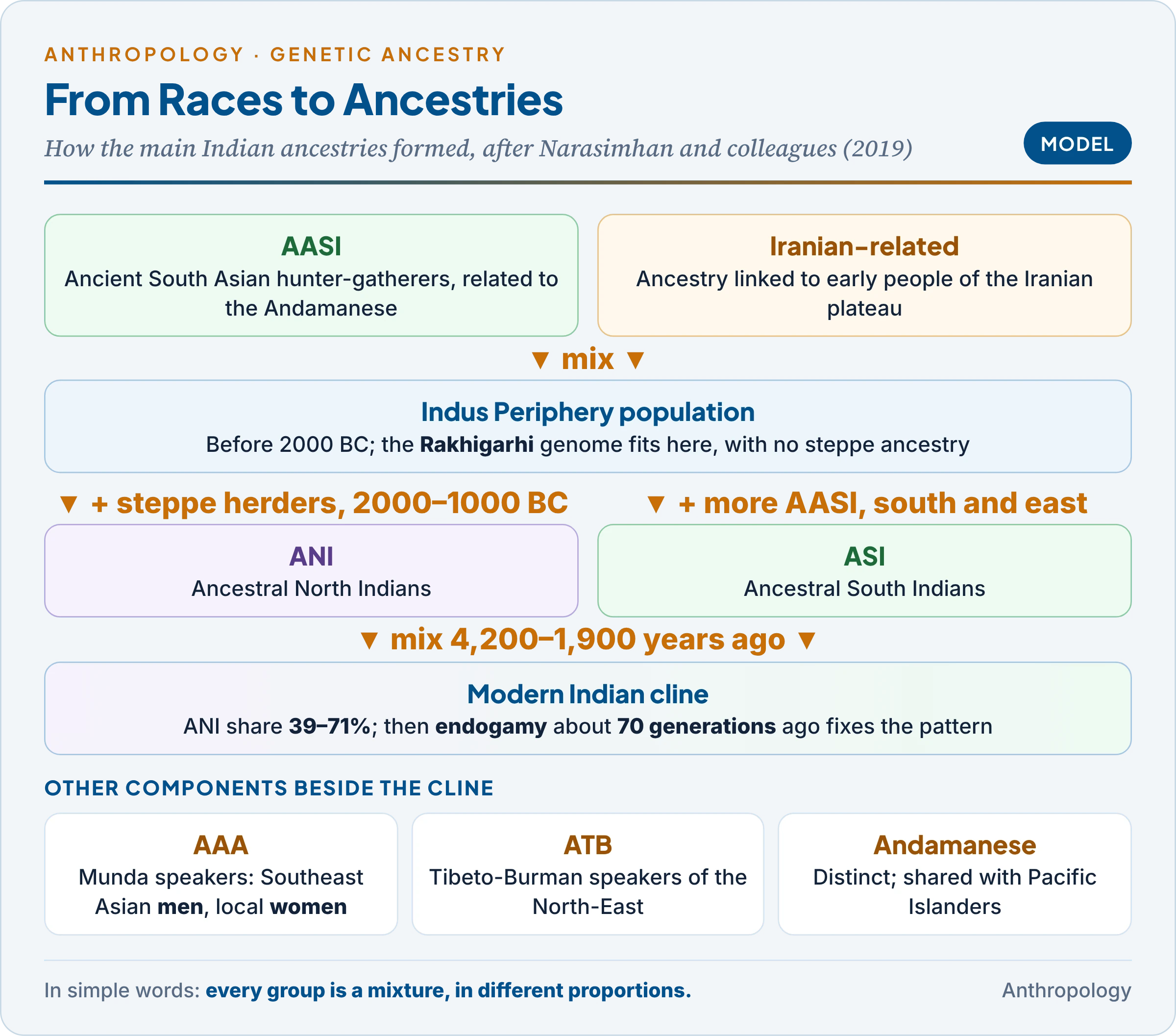 From races to ancestries: AASI hunter-gatherers and Iranian farmer-related people form the Indus Periphery population; steppe ancestry joins it to form ANI, AASI-rich groups form ASI, and their mixture makes the modern Indian cline, with Austro-Asiatic, Tibeto-Burman and Andamanese components beside it and endogamy fixing the pattern about 2,000 years ago