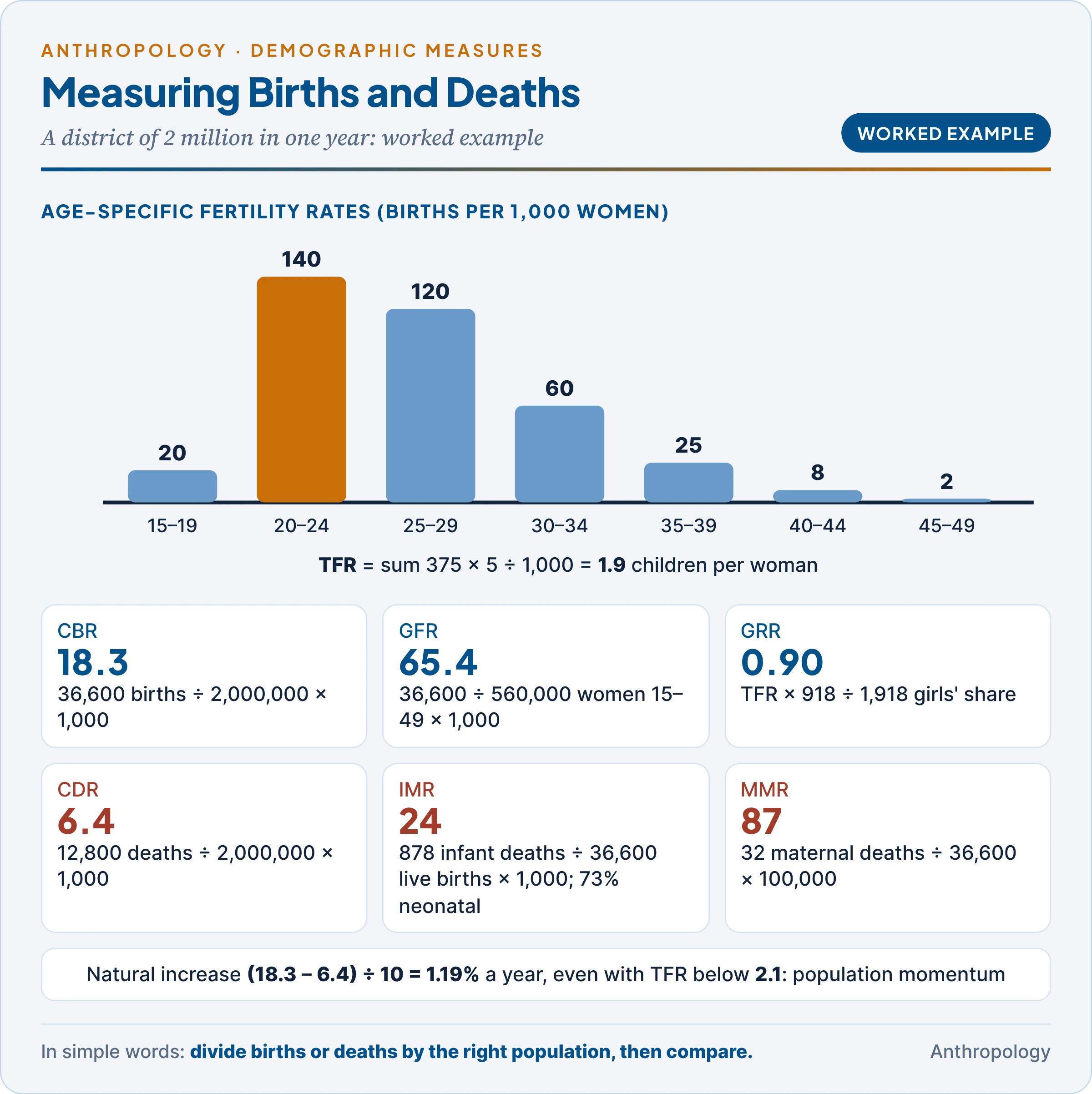 Worked example of fertility and mortality measures: CBR, GFR, ASFR bars by age group summing to a TFR of 1.9, GRR, CDR, natural increase, IMR with its neonatal share, and MMR, with the formula for each