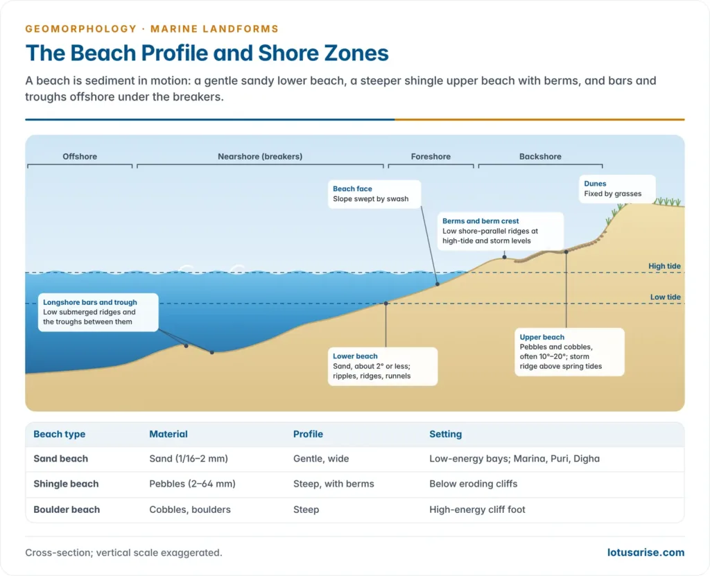 Beach profile from offshore to dunes showing longshore bars, lower beach, beach face, berms, upper beach and tide levels