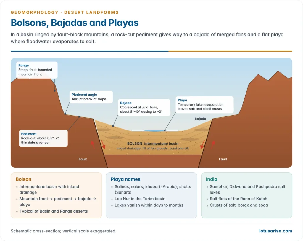 Bolsons, Bajadas and Playas. In a basin ringed by fault-block mountains, a rock-cut pediment gives way to a bajada of merged fans and a flat playa where floodwater evaporates to salt.