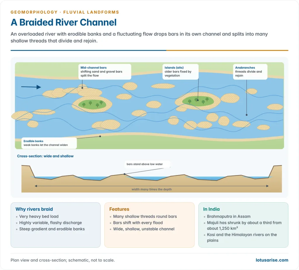 Plan view of a wide braided river with many threads divided by sand bars and vegetated islands, and a wide, shallow cross-section