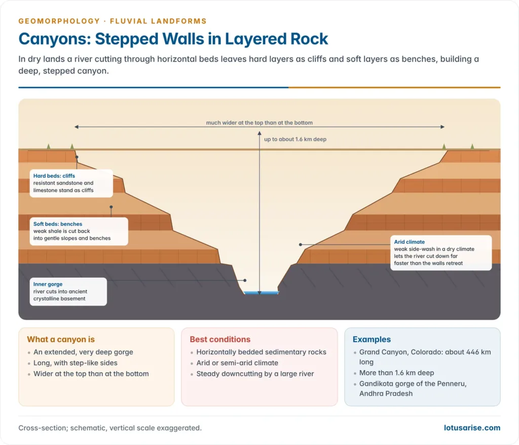 Cross-section of a canyon in horizontal strata with stepped walls where hard beds form cliffs and soft beds form slopes, above an inner gorge
