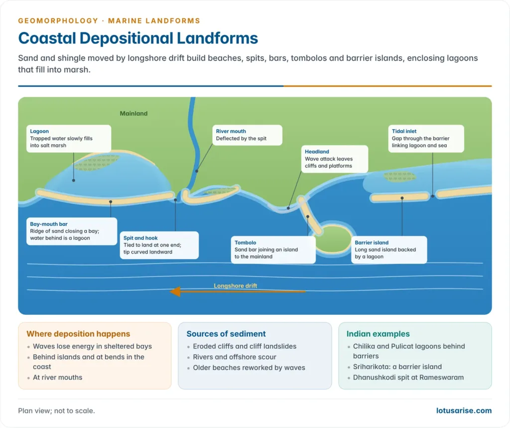 Plan view of coastal depositional landforms: bay-mouth bar and lagoon, spit and hook, tombolo, barrier island and tidal inlet