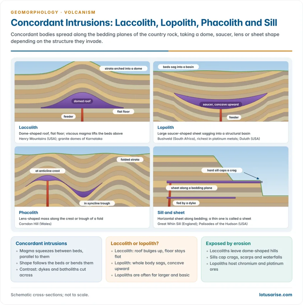 Four cross-sections of concordant intrusions: laccolith with domed roof and flat floor, saucer-shaped lopolith, phacolith in fold crest and trough, and sill capping a crag