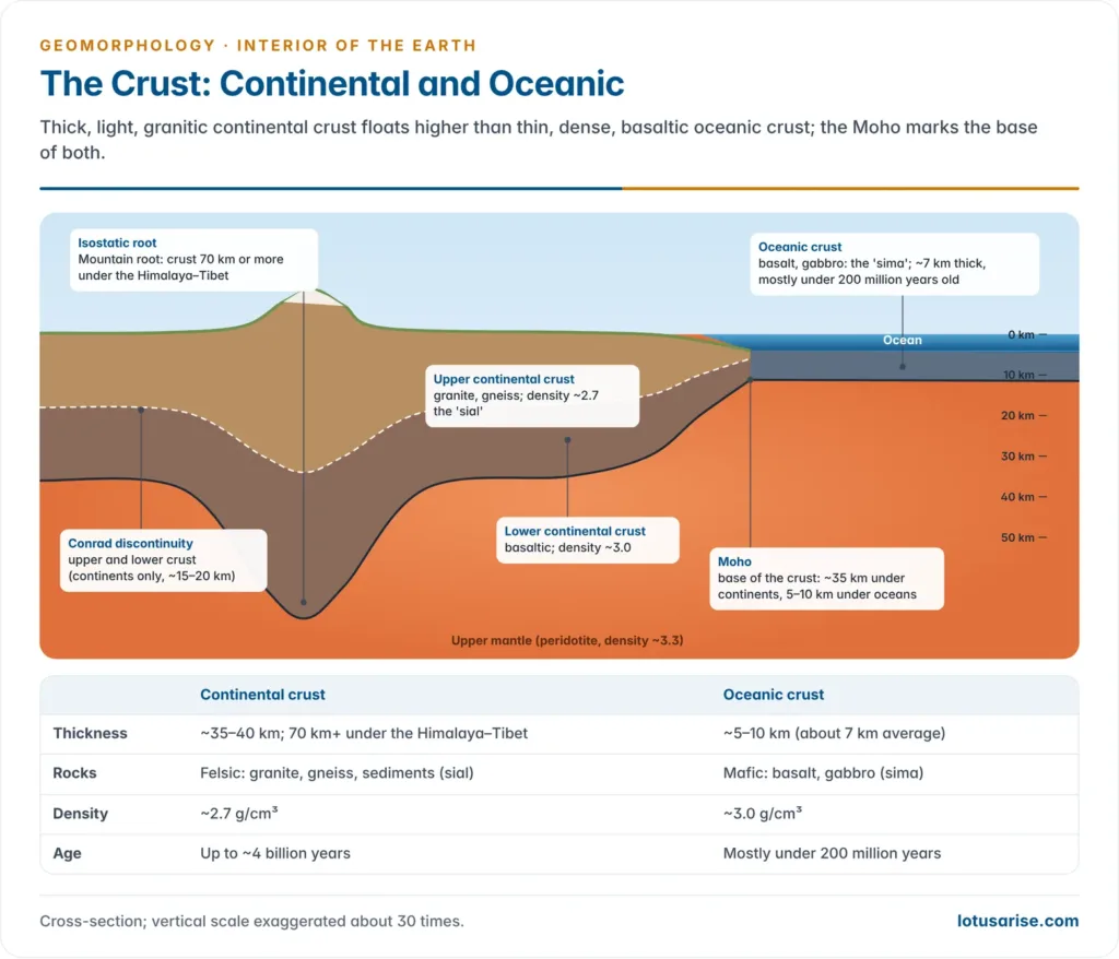 Cross-section of thick granitic continental crust with a deep mountain root beside thin basaltic oceanic crust, showing the Conrad discontinuity, the Moho and the upper mantle