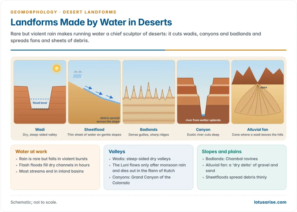 Landforms Made by Water in Deserts. Rare but violent rain makes running water a chief sculptor of deserts: it cuts wadis, canyons and badlands and spreads fans and sheets of debris.