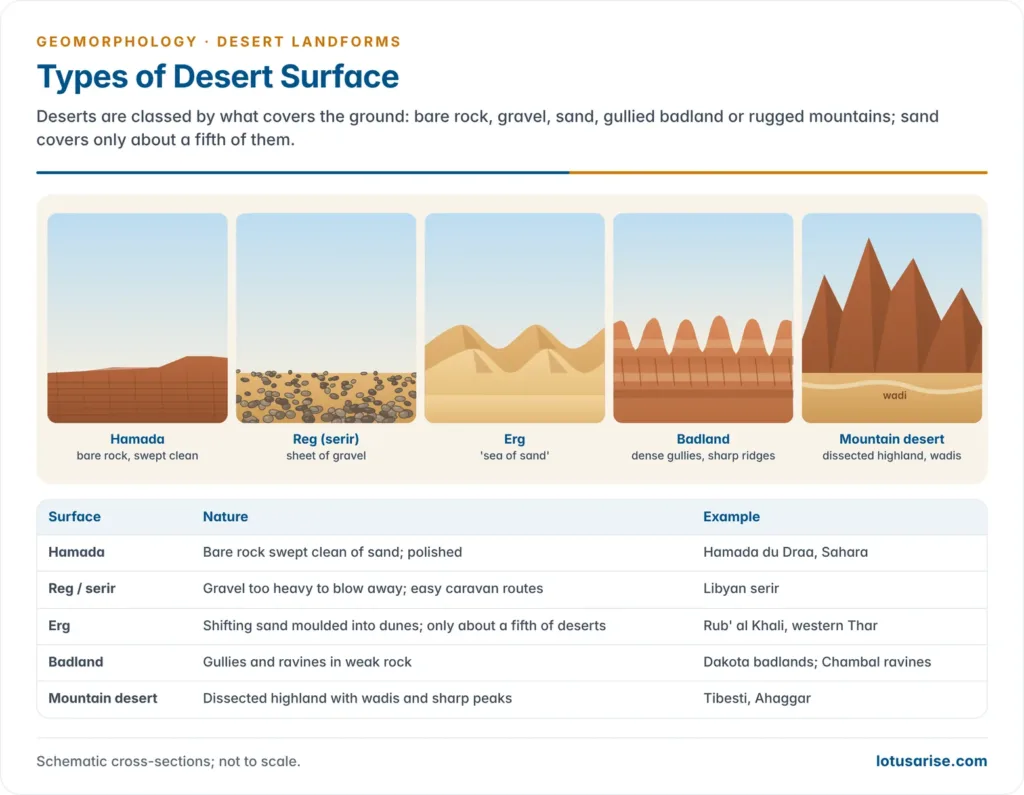 Types of Desert Surface. Deserts are classed by what covers the ground: bare rock, gravel, sand, gullied badland or rugged mountains; sand covers only about a fifth of them.