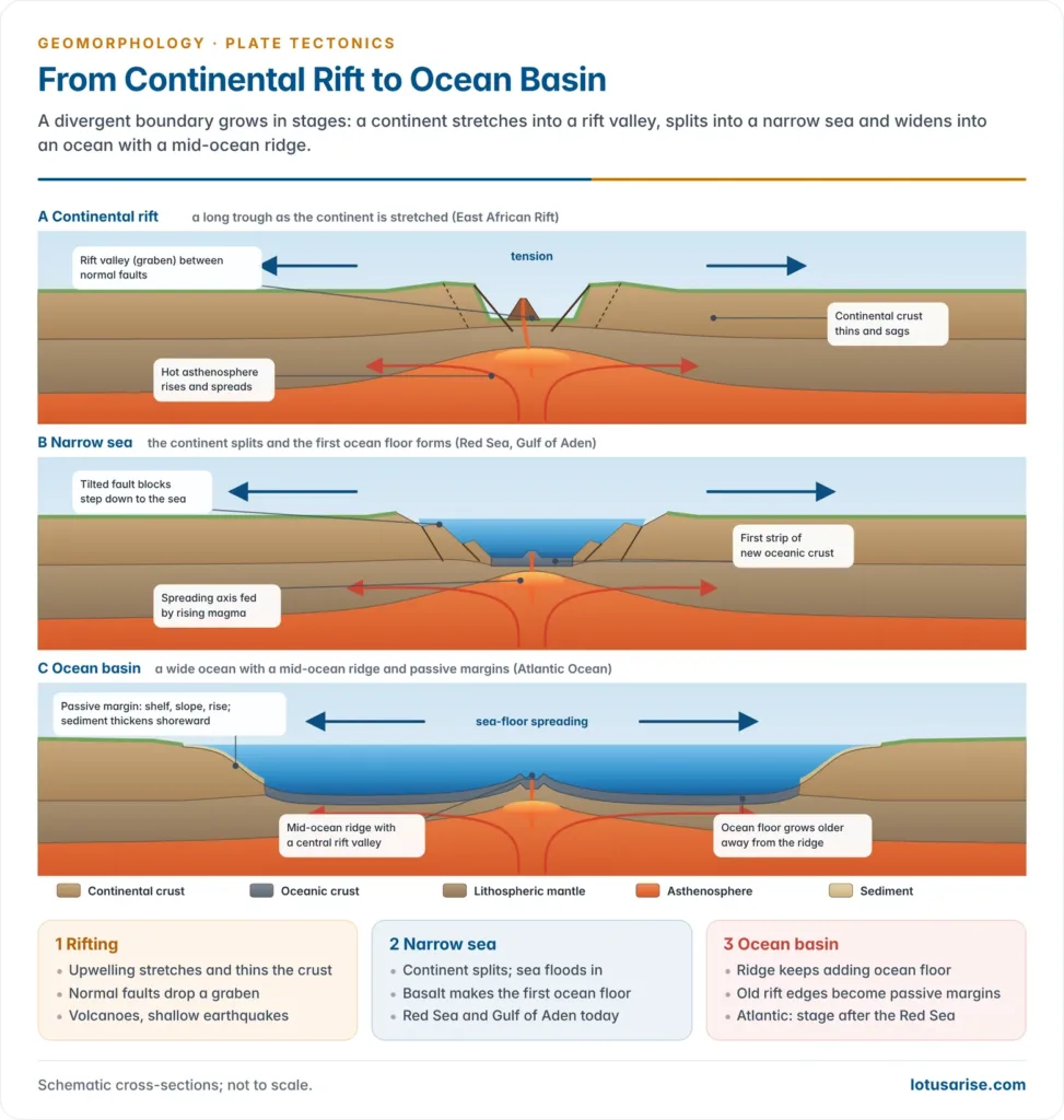 Three cross-sections showing a divergent boundary developing from a continental rift valley to a narrow sea like the Red Sea and then a wide ocean with a mid-ocean ridge and passive margins