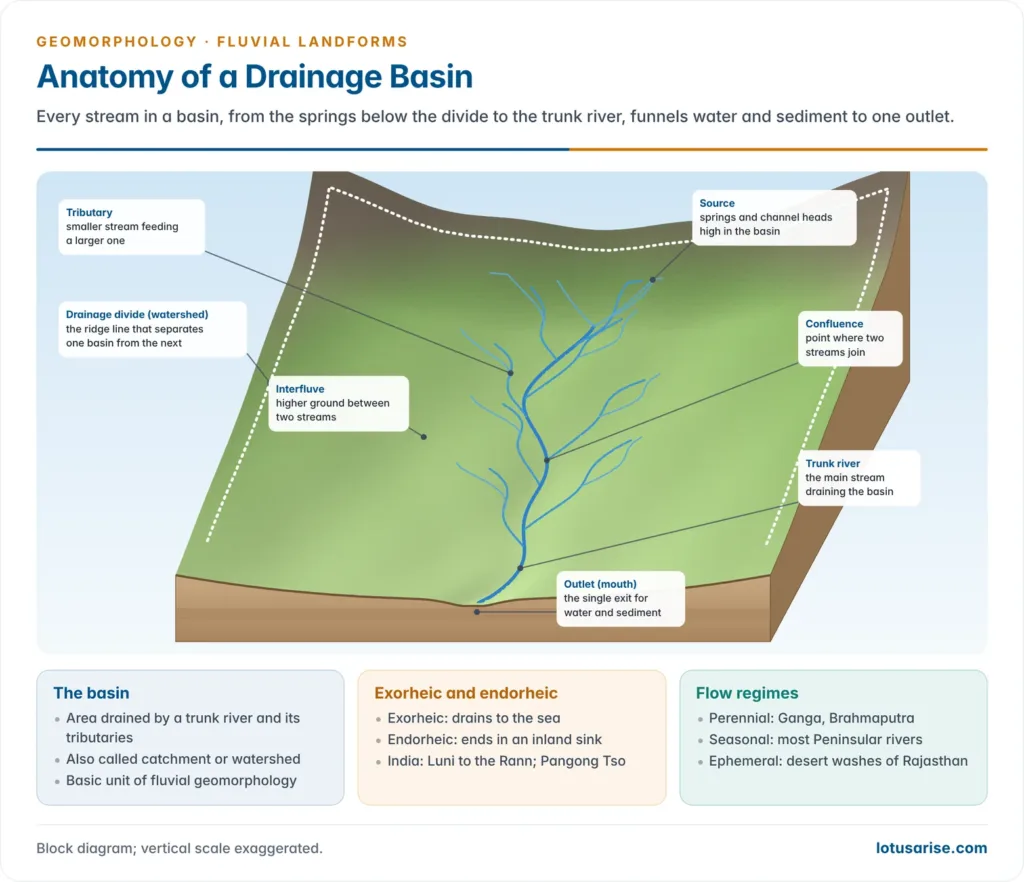 Block diagram of a drainage basin with a dendritic network of tributaries, the main stream and outlet, and the water divide marking the basin edge