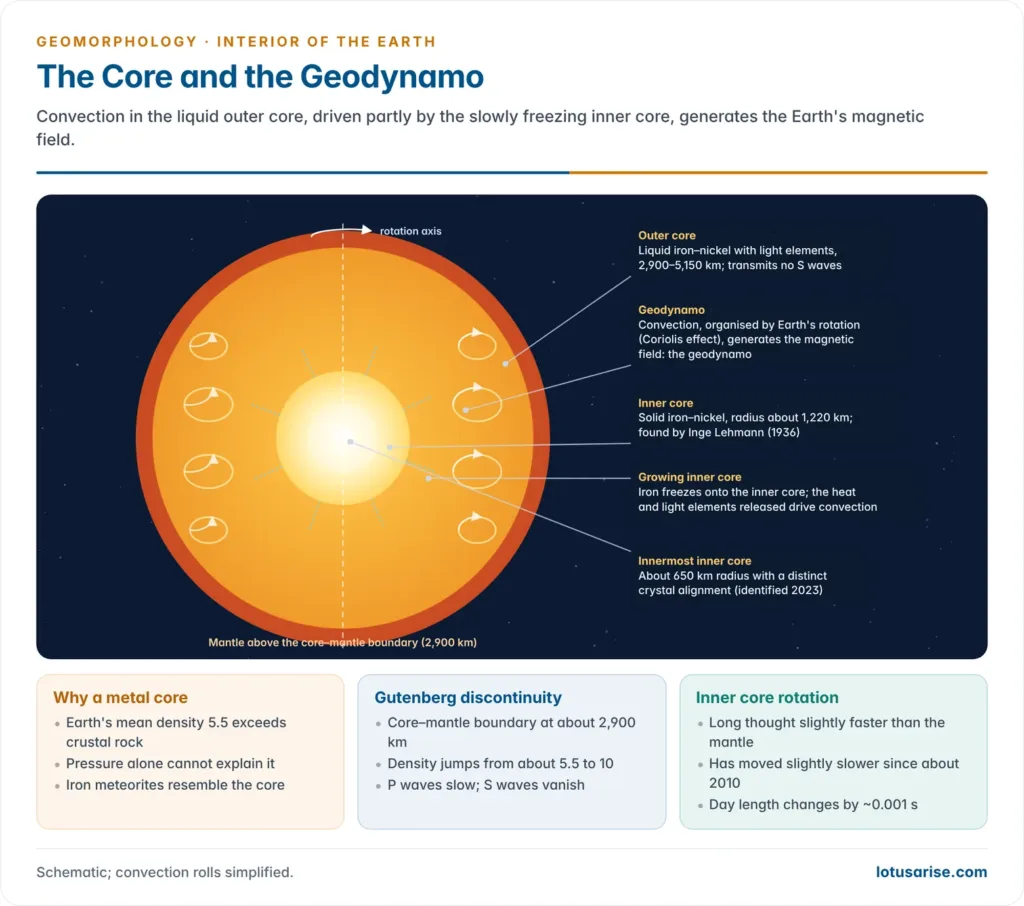Cross-section of the Earth's core showing convection rolls in the liquid outer core that drive the geodynamo, the solid inner core growing as iron freezes, and the innermost inner core