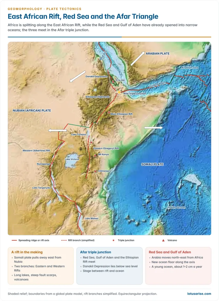 Relief map of the East African Rift, Red Sea and Gulf of Aden showing the Nubian, Somali and Arabian plates, the Afar triple junction, the Eastern and Western Rifts, rift lakes and volcanoes