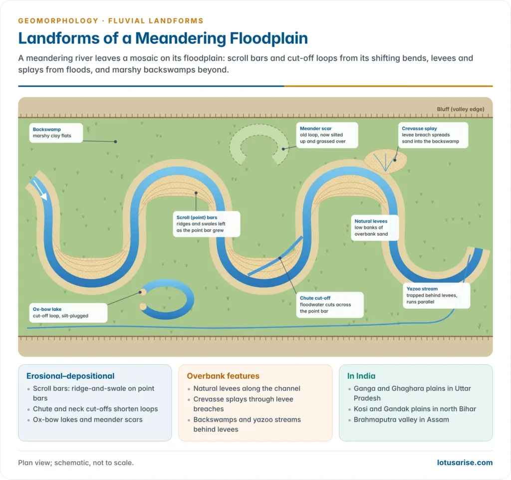 Plan view of a meandering floodplain with scroll bars, a chute cut-off, an ox-bow lake, a meander scar, levees, a crevasse splay, backswamps and a yazoo stream