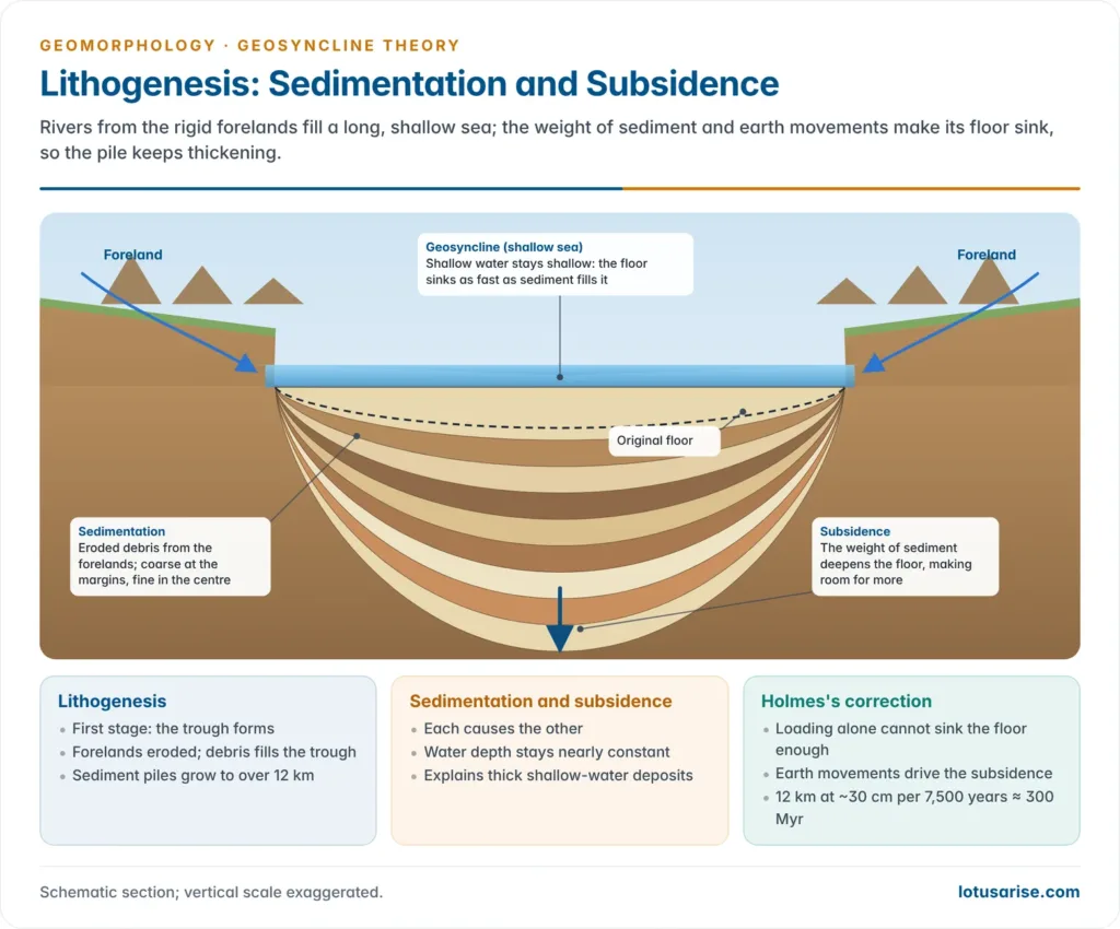 Geosyncline between two forelands: rivers carry eroded debris into a shallow sea whose floor subsides as layers of sediment thicken