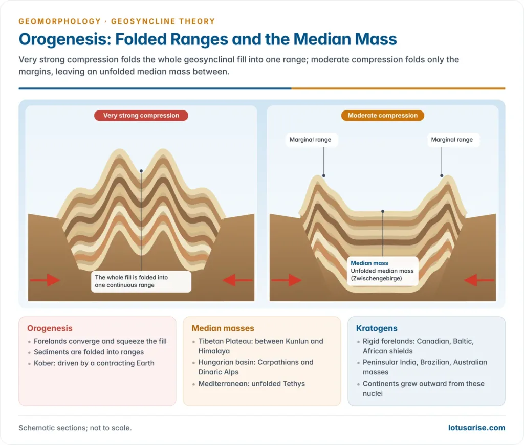 Two sections: very strong compression folding the whole geosynclinal fill into one range, and moderate compression folding only marginal ranges around an unfolded median mass