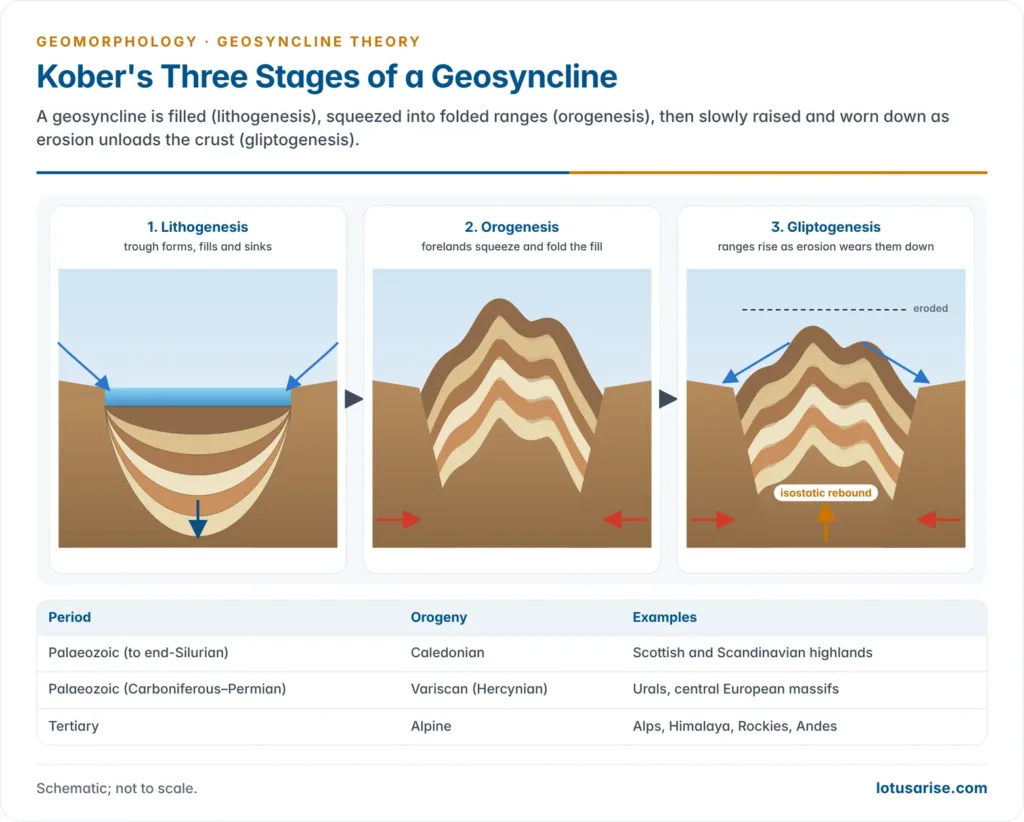 Kober's three stages: lithogenesis filling a sinking trough, orogenesis squeezing the fill into folded ranges, and gliptogenesis as ranges rise isostatically while erosion wears them down
