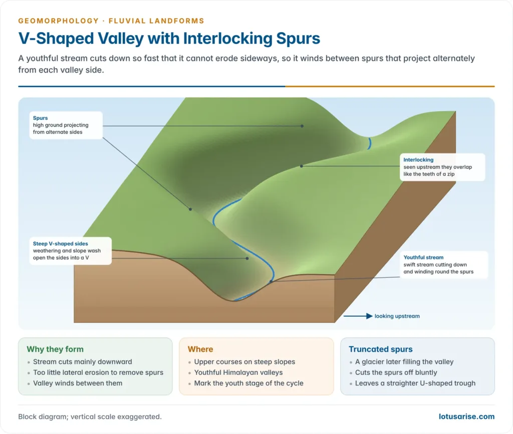 Block diagram of a winding V-shaped valley where a youthful stream flows between spurs projecting alternately from each side