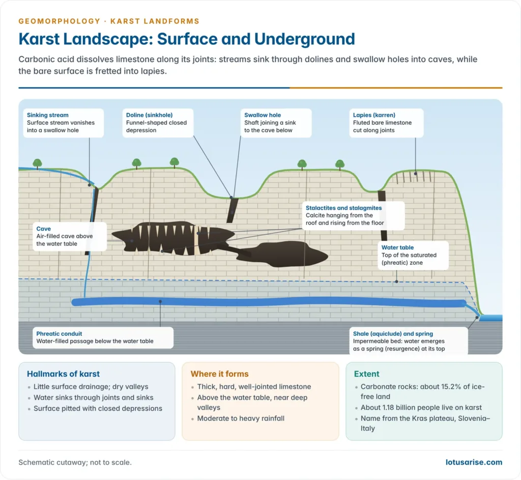 Cutaway of a limestone landscape showing a sinking stream, doline, swallow hole, lapies, a decorated cave above the water table, a phreatic conduit and a spring above an impermeable shale bed