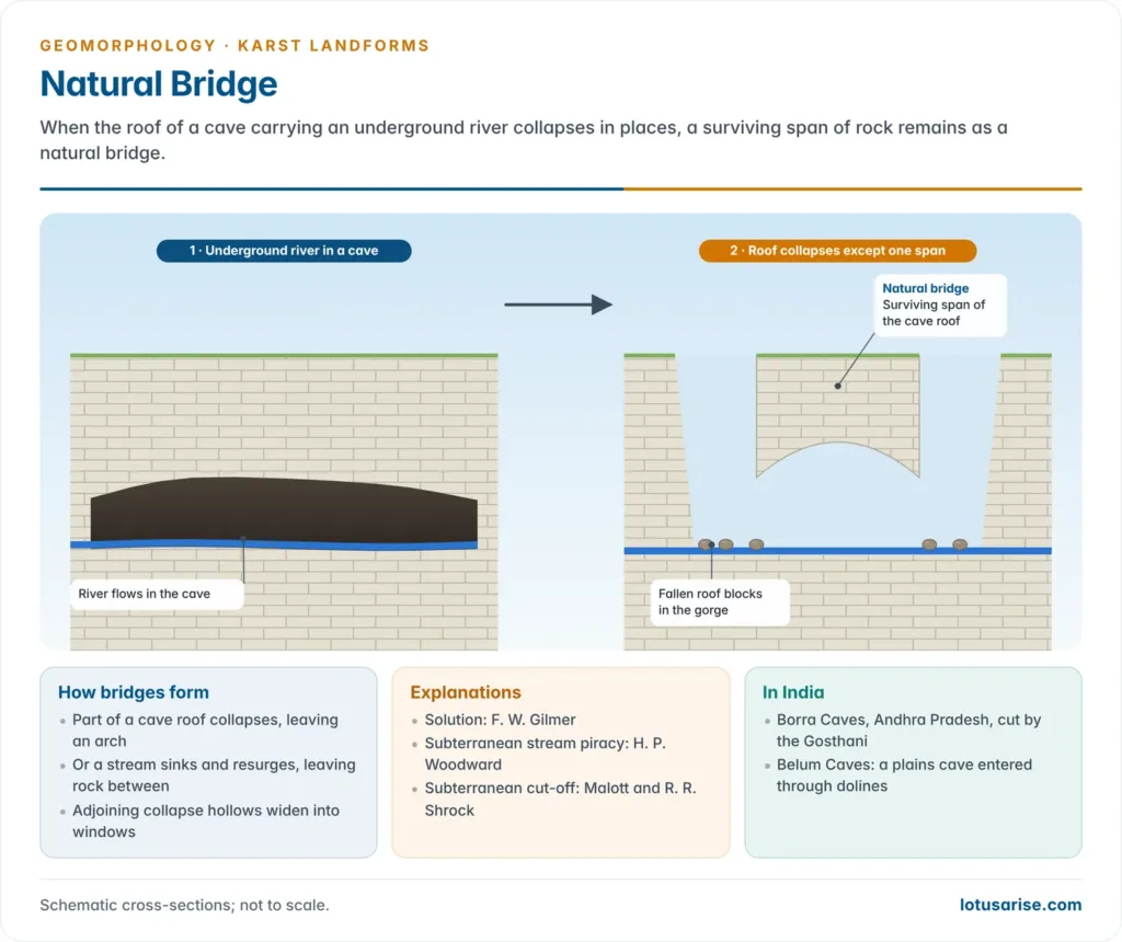 Two cross-sections showing an underground river in a cave and then a gorge where the cave roof has collapsed except for one span left as a natural bridge