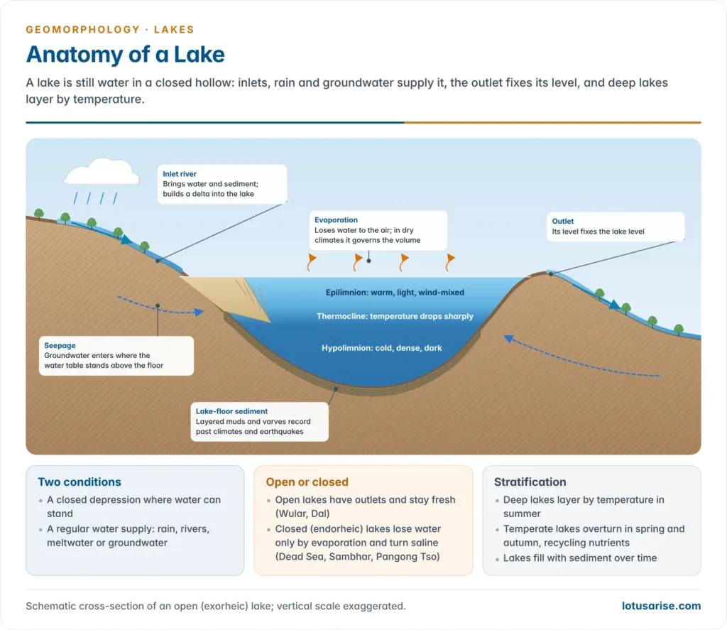 Anatomy of a Lake. A lake is still water in a closed hollow: inlets, rain and groundwater supply it, the outlet fixes its level, and deep lakes layer by temperature.