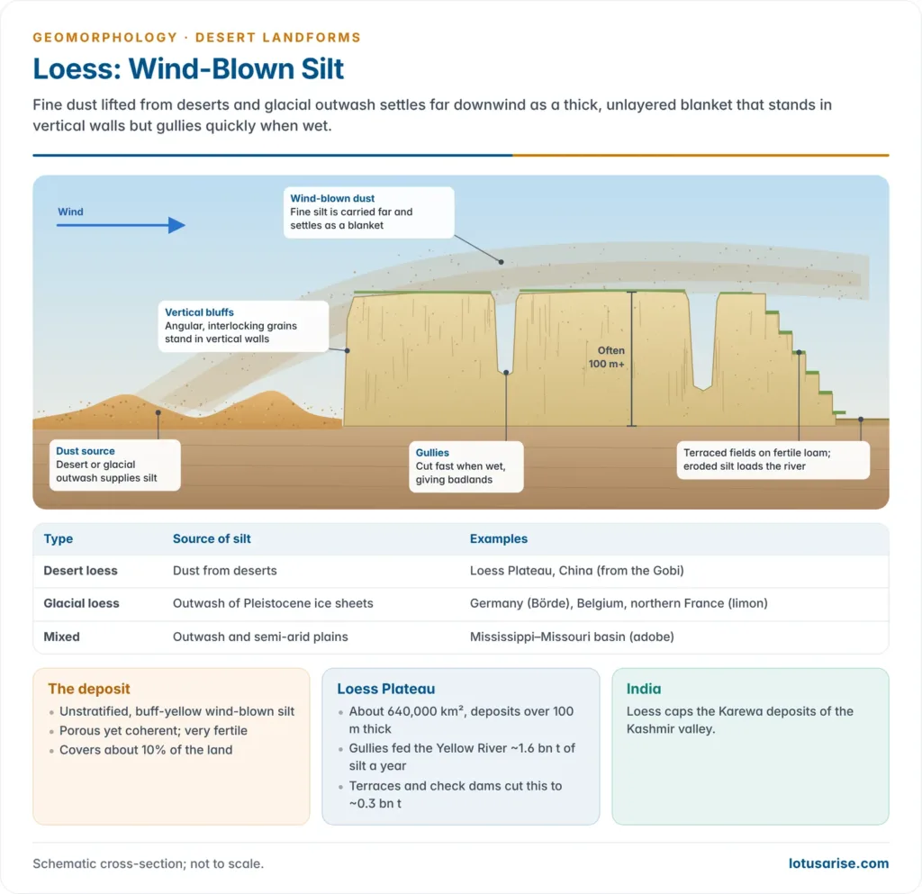 Loess: Wind-Blown Silt. Fine dust lifted from deserts and glacial outwash settles far downwind as a thick, unlayered blanket that stands in vertical walls but gullies quickly when wet.