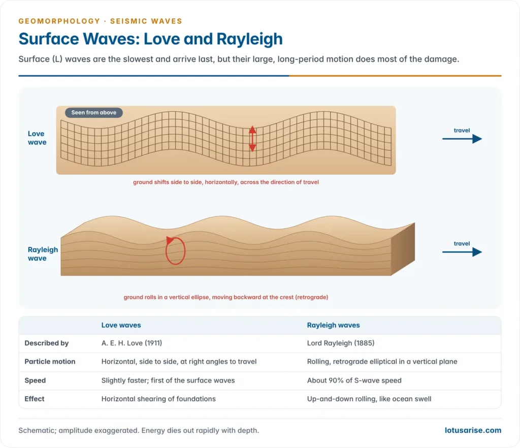 A Love wave seen from above shifting the ground side to side across its path, and a Rayleigh wave rolling the ground surface in retrograde vertical ellipses, with a comparison table