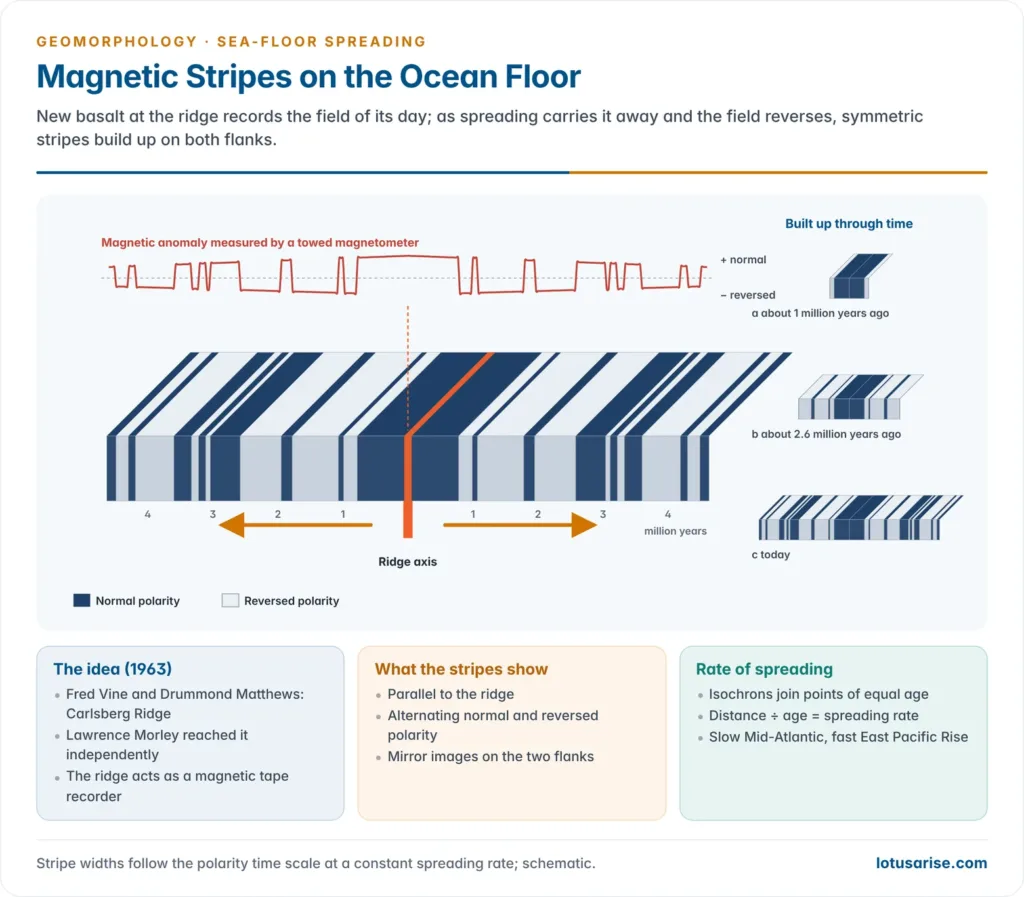 Block diagram of symmetric normal and reversed magnetic stripes on both sides of a ridge axis with the matching magnetic anomaly profile, and stages showing the stripes building up through time