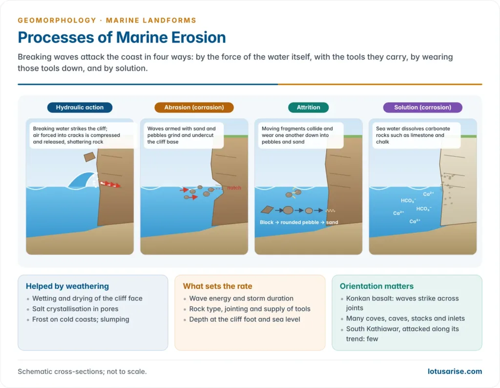Four panels showing marine erosion processes: hydraulic action, abrasion, attrition and solution