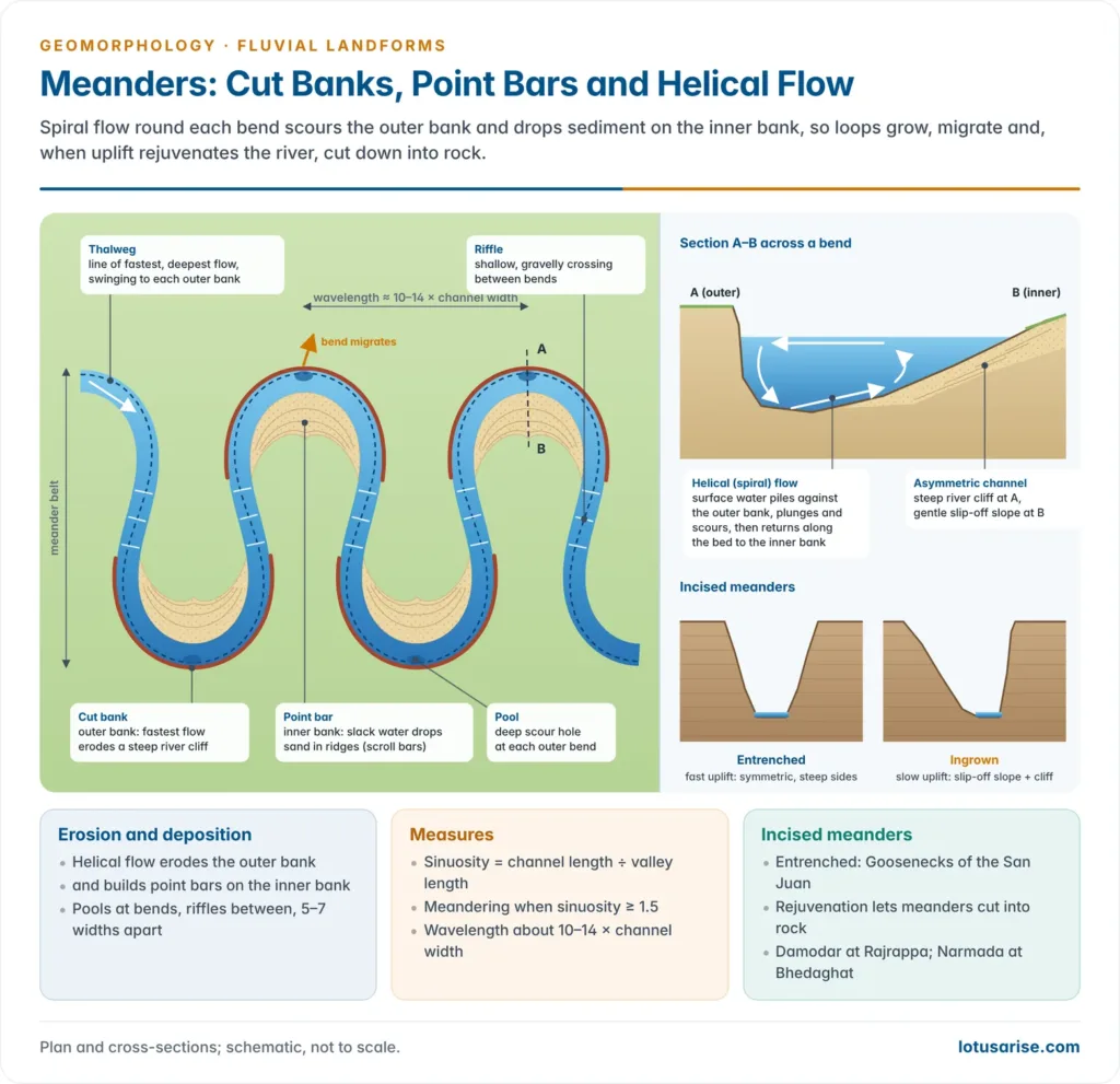 Plan of a meandering river with cut banks, point bars, pools, riffles and the thalweg; a cross-section showing helical flow; and entrenched and ingrown incised meanders