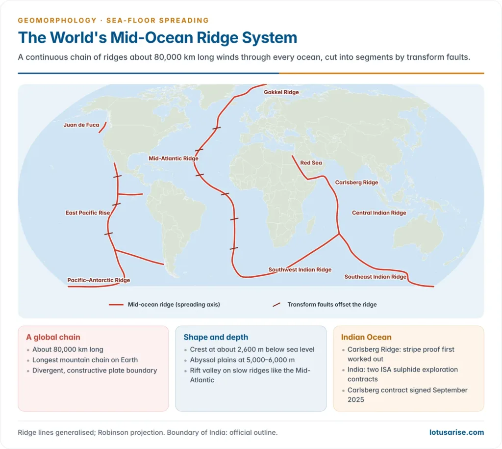 World map of the mid-ocean ridge system including the Mid-Atlantic Ridge, East Pacific Rise, Carlsberg and Indian Ocean ridges, offset by transform faults