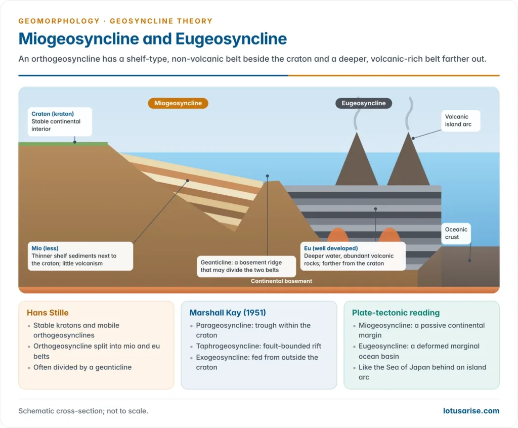 Cross-section from a stable craton across a miogeosyncline of shelf sediments, a geanticline ridge and a volcanic-rich eugeosyncline with plutons and an island arc, to oceanic crust