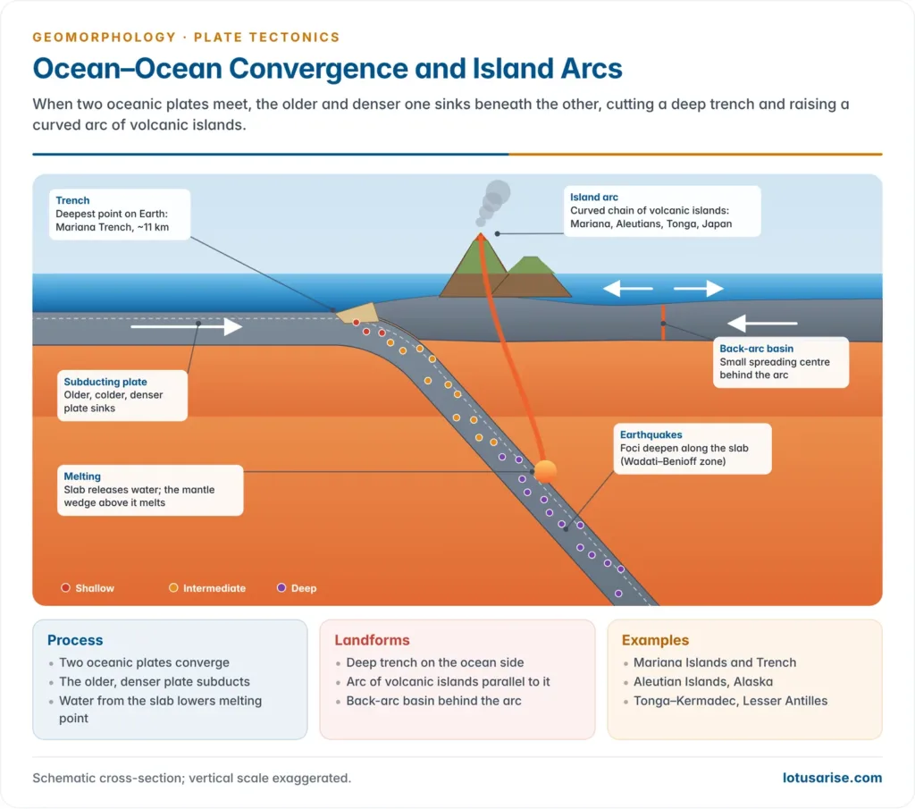 Cross-section of ocean–ocean convergence: an older oceanic plate subducts at a deep trench, melting feeds an island arc, a back-arc basin opens, and earthquake foci deepen along the slab