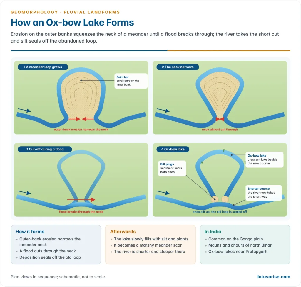 Four plan views showing a meander loop growing, its neck narrowing, a flood cutting through the neck, and the old loop sealed off as an ox-bow lake