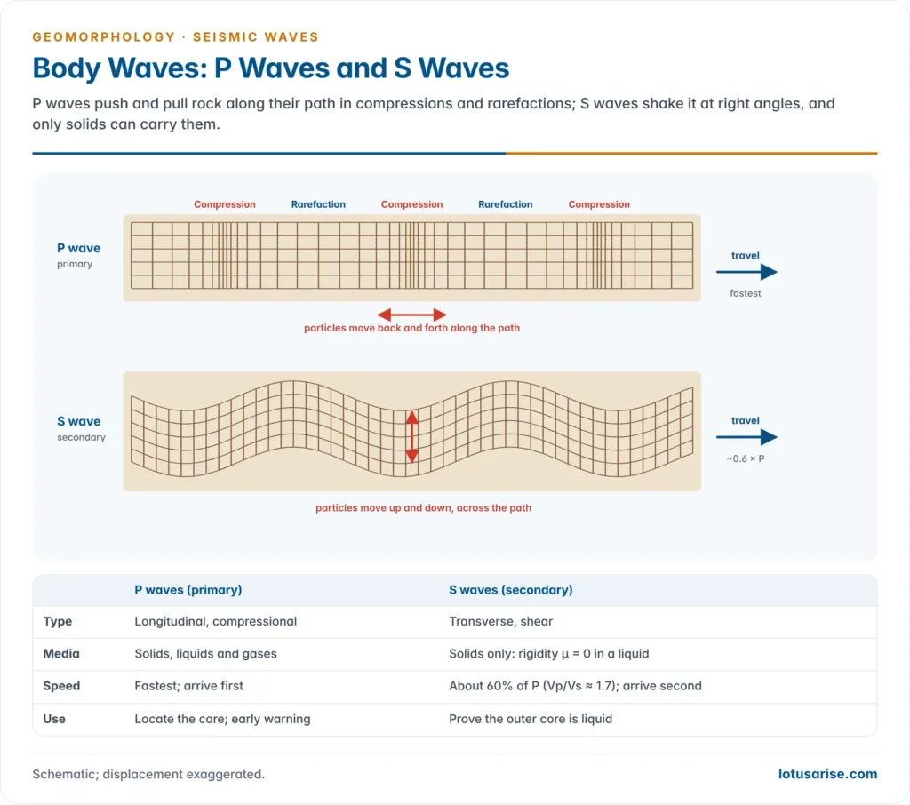 Grids showing a P wave squeezing rock into compressions and rarefactions along its path and an S wave shaking rock up and down at right angles to its path, with a comparison table