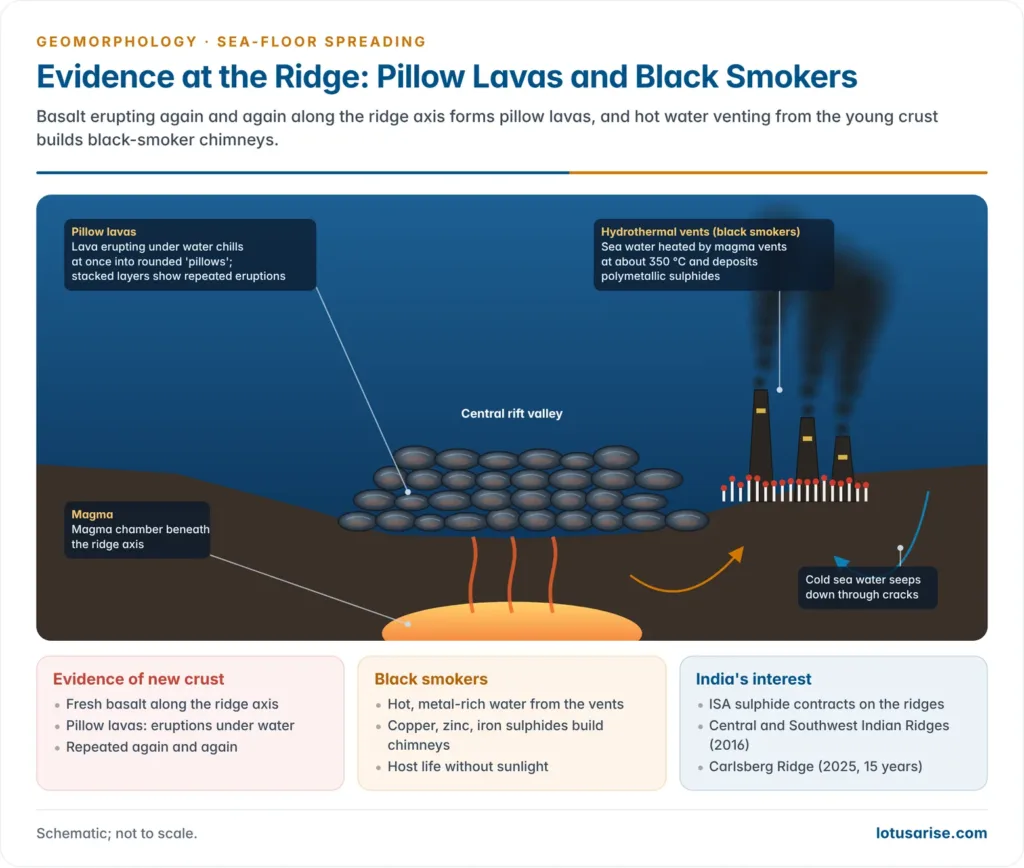Pillow lavas stacked in the central rift valley of a mid-ocean ridge above a magma chamber, with black smoker hydrothermal vents and tube worms on the flank