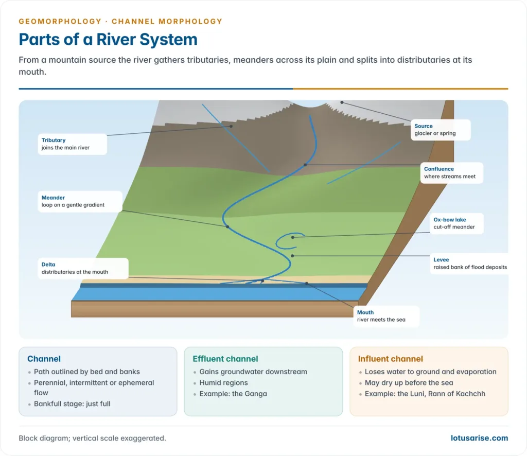Block diagram of a river system from a mountain source with tributaries and a confluence, a meandering course with an ox-bow lake and levees, to a delta with distributaries at the mouth