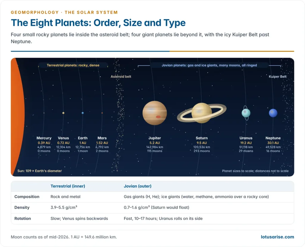 The eight planets in order from the Sun with sizes to scale, the four terrestrial planets inside the asteroid belt and the four Jovian planets beyond it, with distance in AU, diameter and number of moons