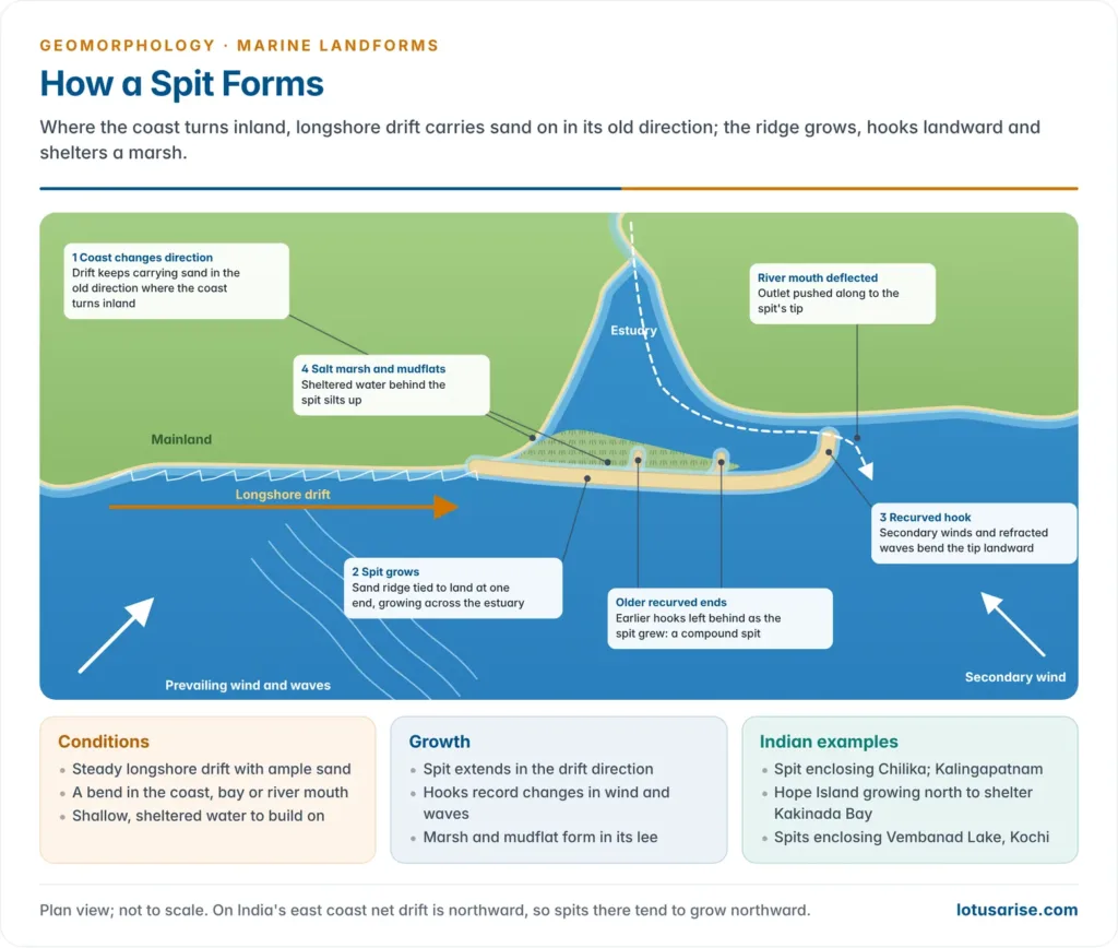 Plan view of a spit growing across an estuary by longshore drift, with recurved hook, older hooks, salt marsh and deflected river mouth