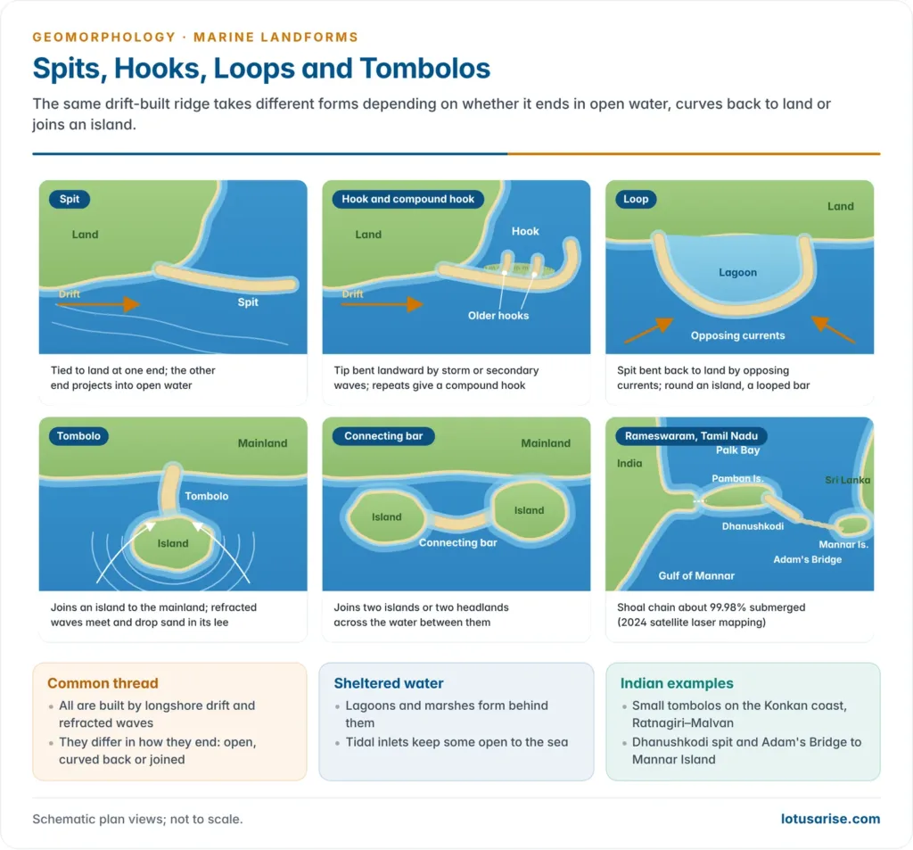 Six plan views: spit, hook and compound hook, loop, tombolo, connecting bar and the Dhanushkodi spit with Adam's Bridge shoals