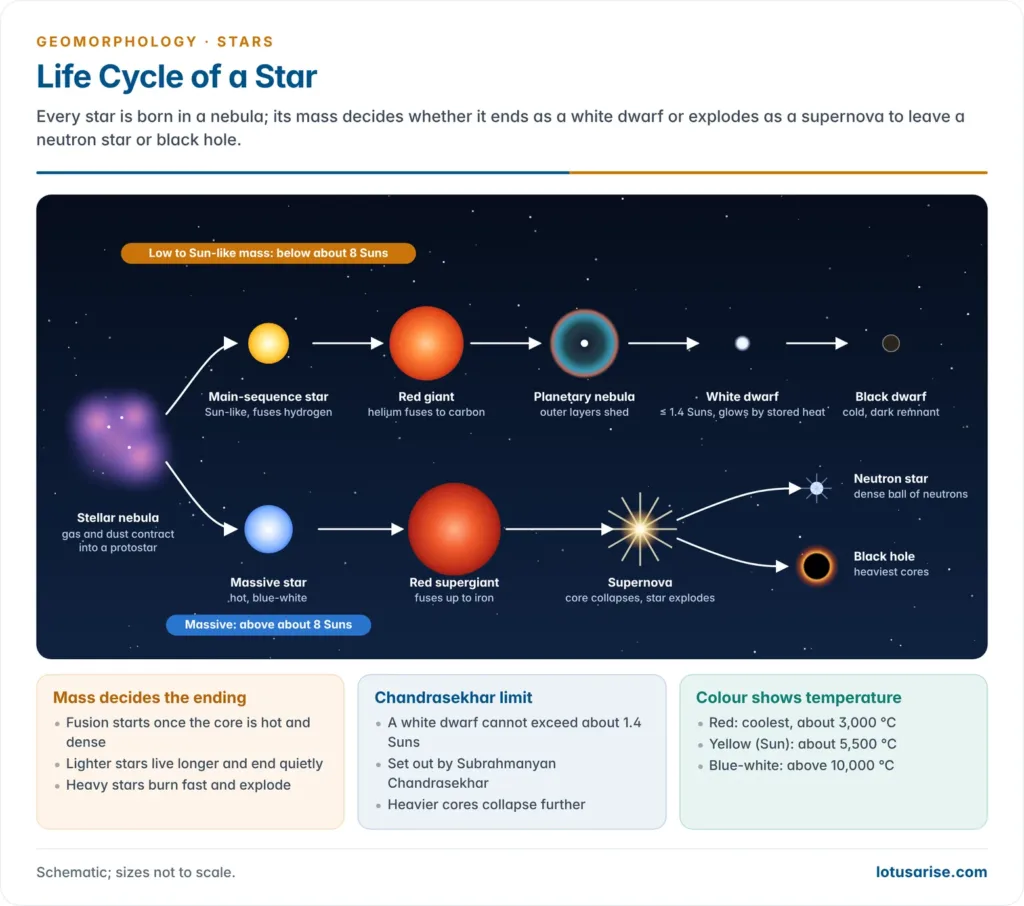 Life cycle of a star from a stellar nebula: Sun-like stars become red giants, planetary nebulae and white dwarfs, while massive stars become red supergiants, explode as supernovae and leave neutron stars or black holes