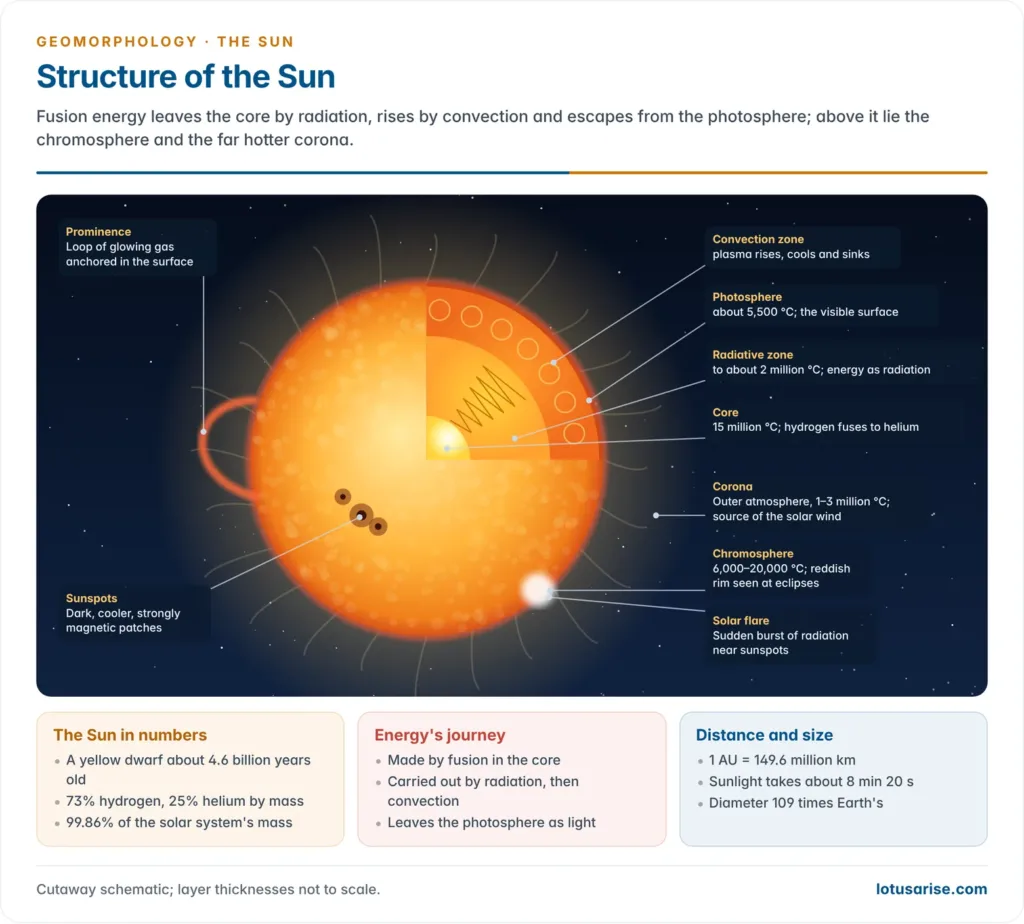 Cutaway of the Sun showing the core, radiative zone, convection zone and photosphere, with the chromosphere, corona, sunspots, a prominence and a solar flare