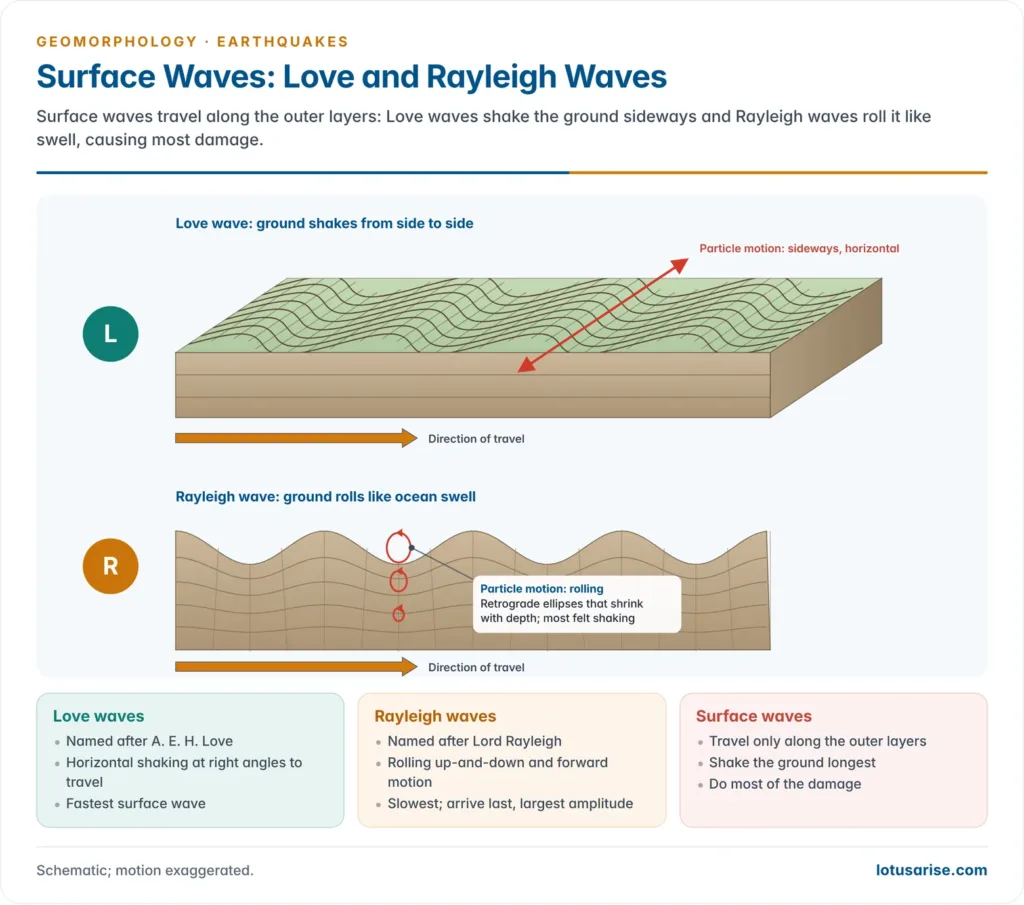 Love waves shaking the ground surface from side to side and Rayleigh waves rolling the ground in retrograde elliptical orbits that shrink with depth