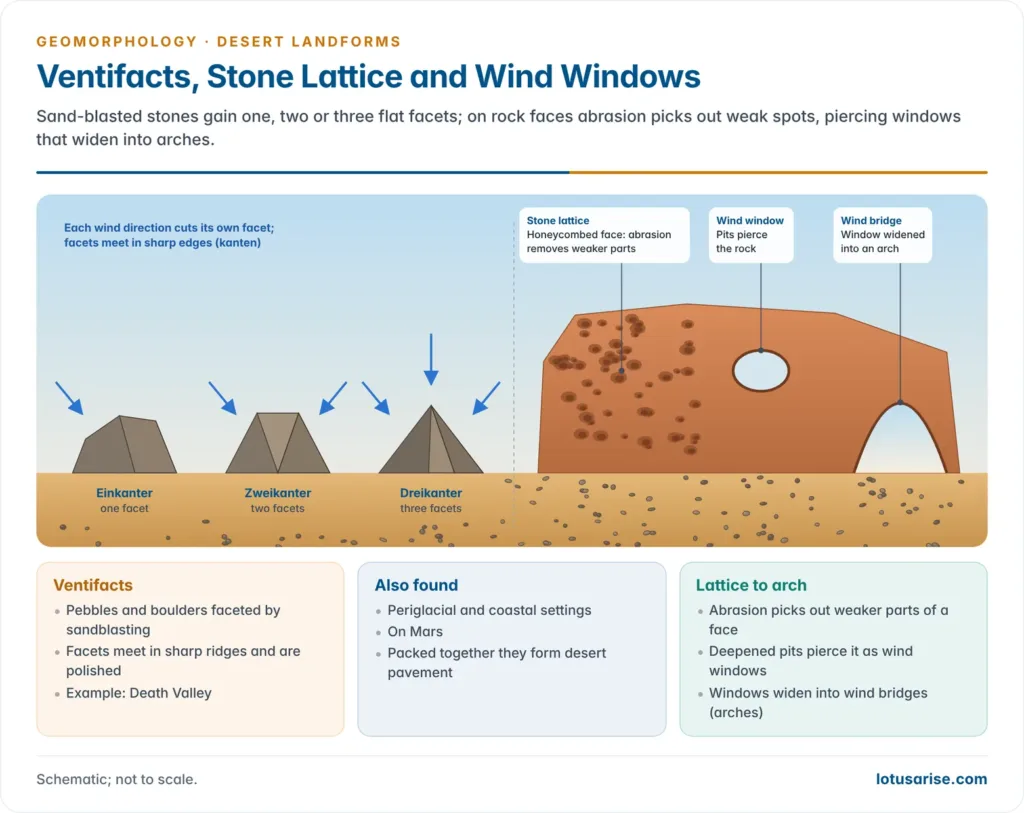Ventifacts, Stone Lattice and Wind Windows. Sand-blasted stones gain one, two or three flat facets; on rock faces abrasion picks out weak spots, piercing windows that widen into arches.