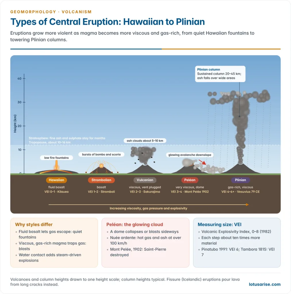 Types of central volcanic eruption from Hawaiian, Strombolian and Vulcanian to Peléan and Plinian, drawn to one height scale with column heights, magma type, VEI and examples