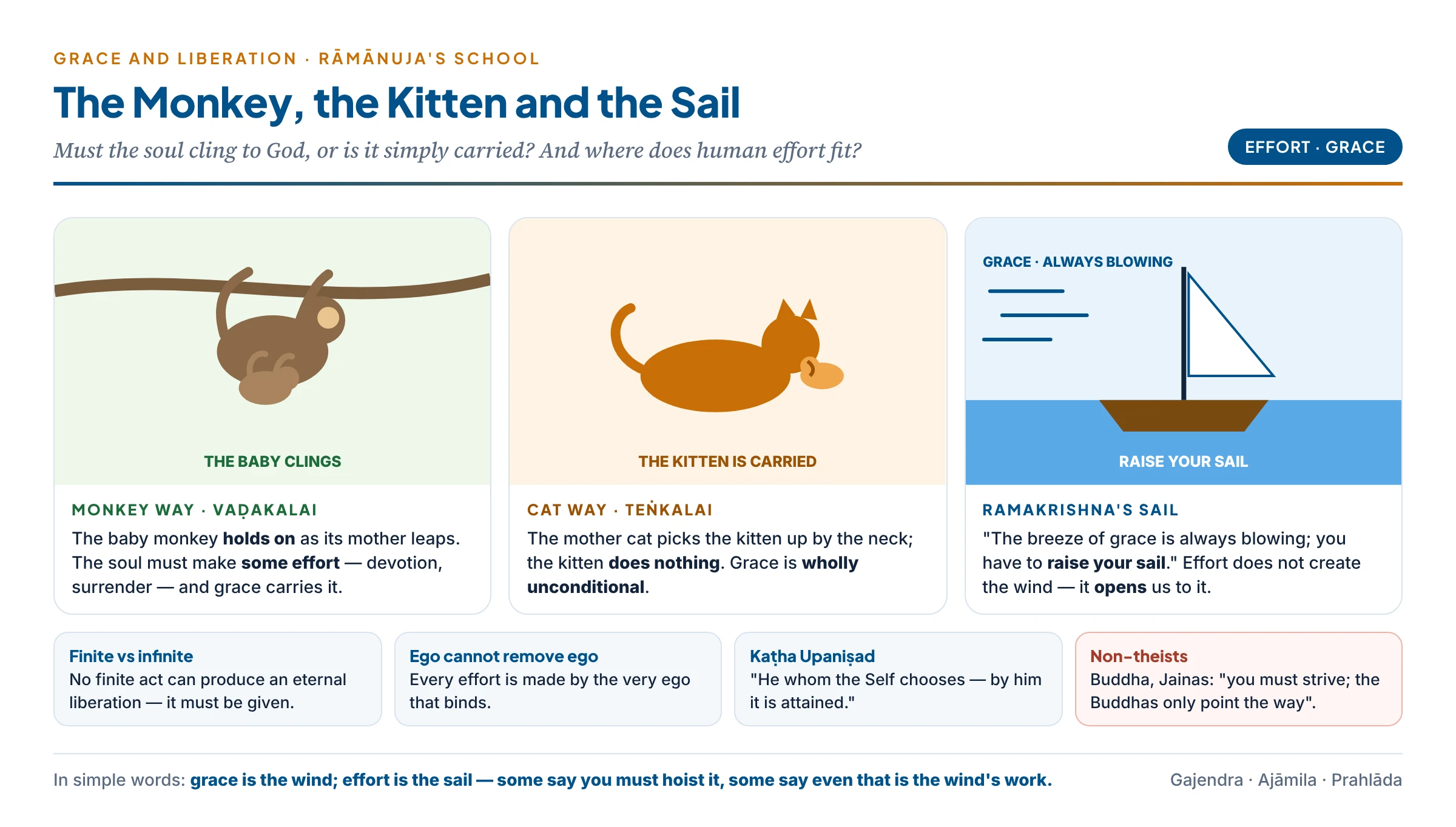 Effort and grace: the baby monkey that clings to its mother, the kitten carried by the scruff of its neck, and the sailor who raises his sail to catch a wind that is always blowing