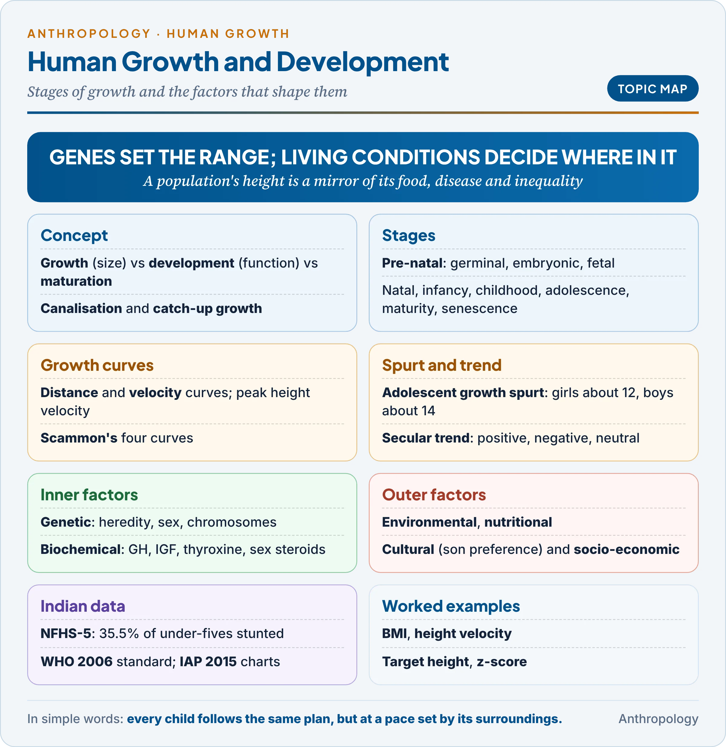 Topic map: growth, development and maturation; stages from pre-natal to senescence; distance and velocity curves, Scammon's curves, the adolescent spurt and the secular trend; genetic, environmental, hormonal, nutritional, cultural and socio-economic factors; Indian growth data and worked examples