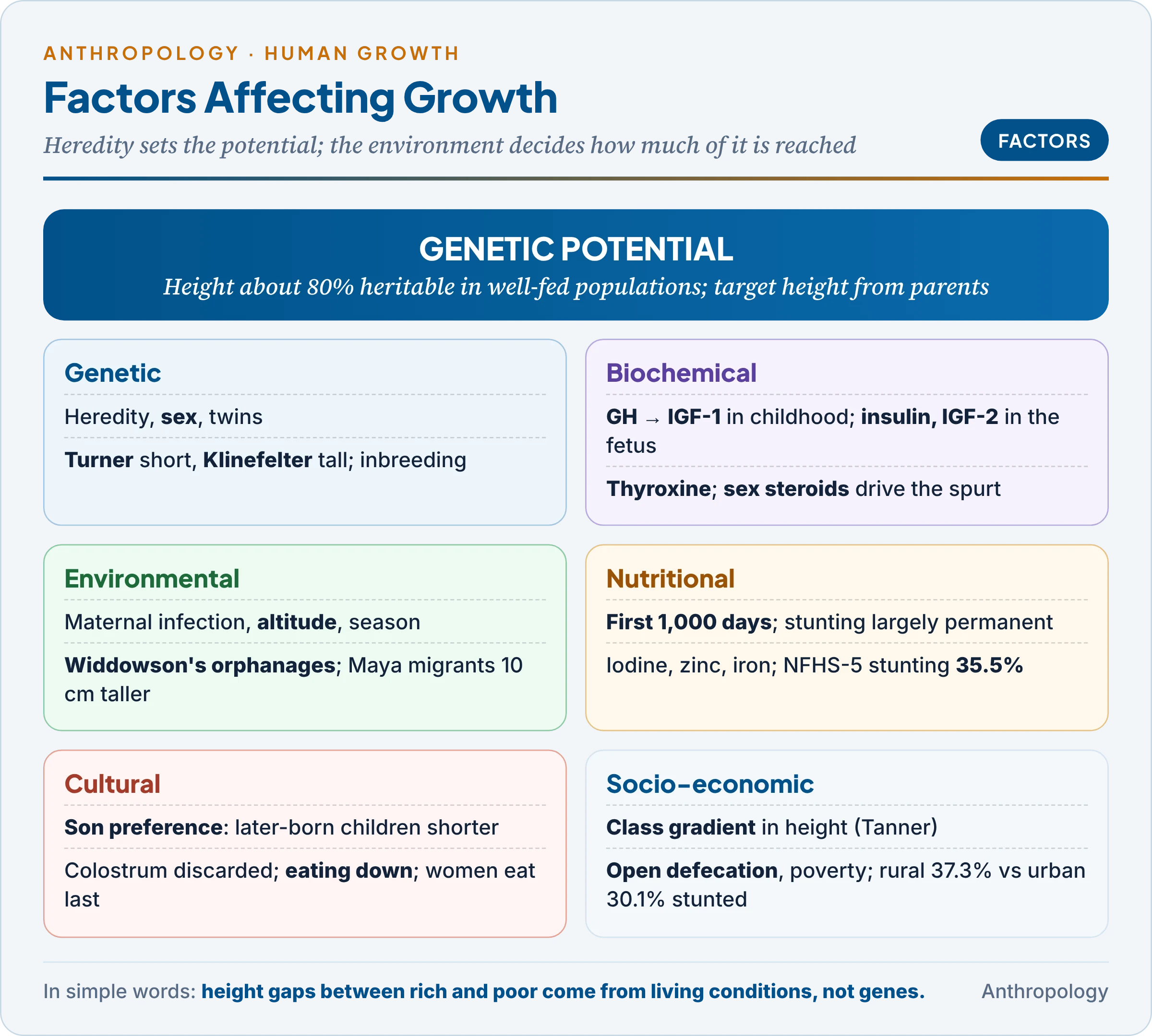 Factors affecting growth and development: genetic potential set by heredity and sex; hormonal control; and the environmental, nutritional, cultural and socio-economic conditions that decide whether the potential is reached, with Indian examples