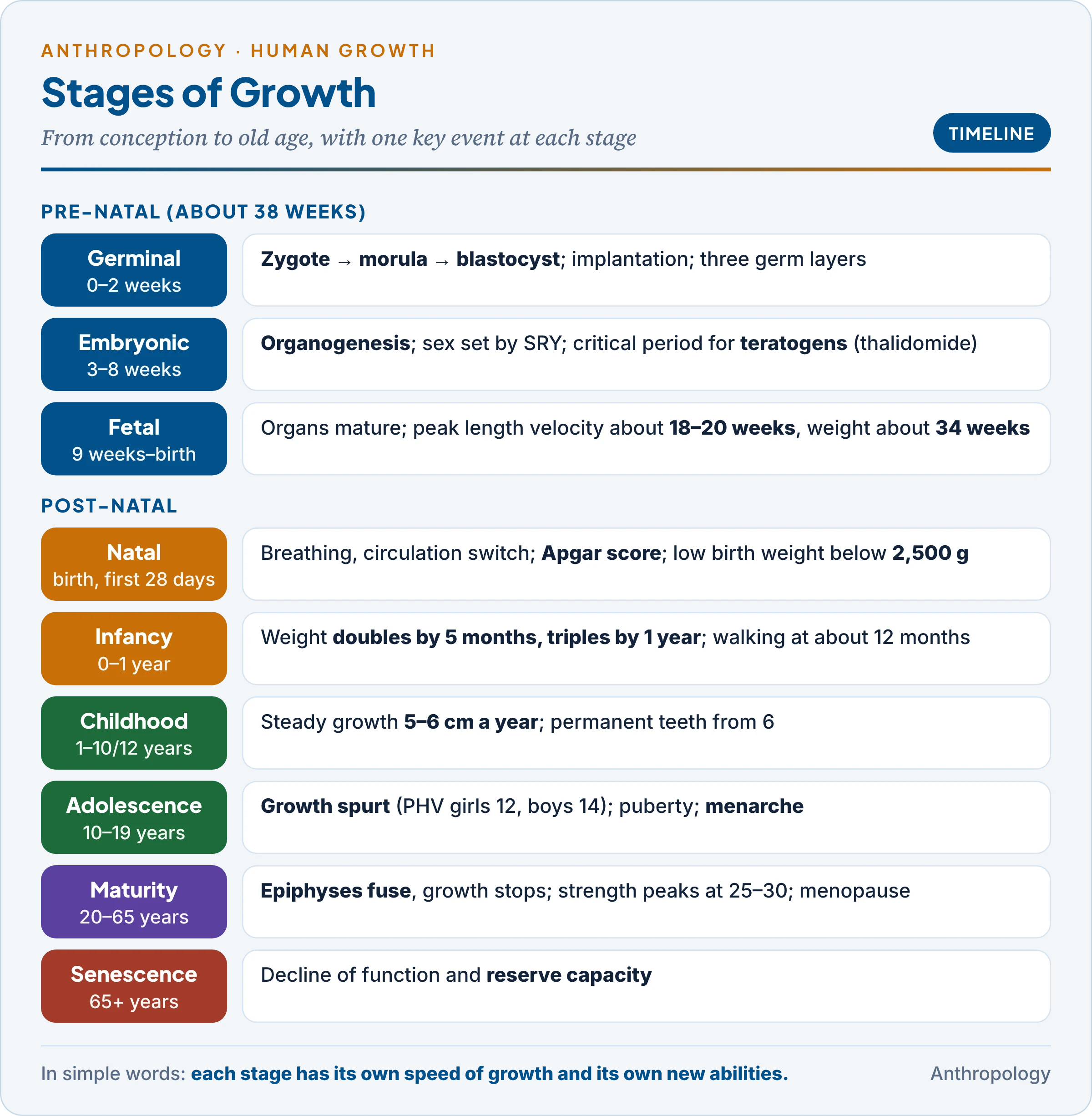 Stages of human growth from conception to senescence: germinal, embryonic and fetal periods; birth; infancy; early and middle childhood; adolescence with the growth spurt; adulthood; senescence; with key events and milestones at each stage