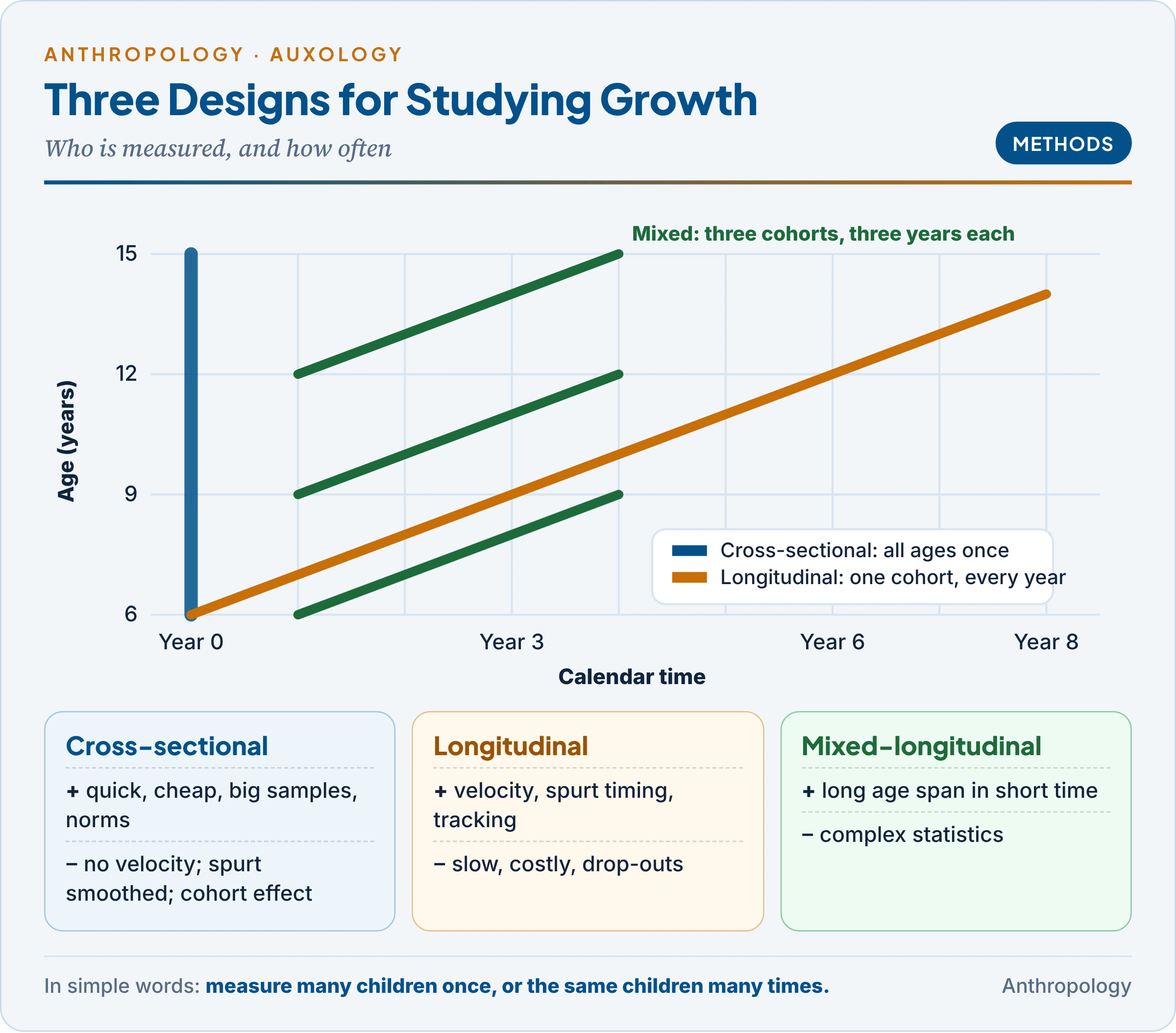 Growth study designs on an age-by-calendar-time grid: a cross-sectional survey of many ages at one time, a longitudinal study following one cohort through all ages, and a mixed-longitudinal design following several overlapping cohorts for a few years, with merits and limits of each