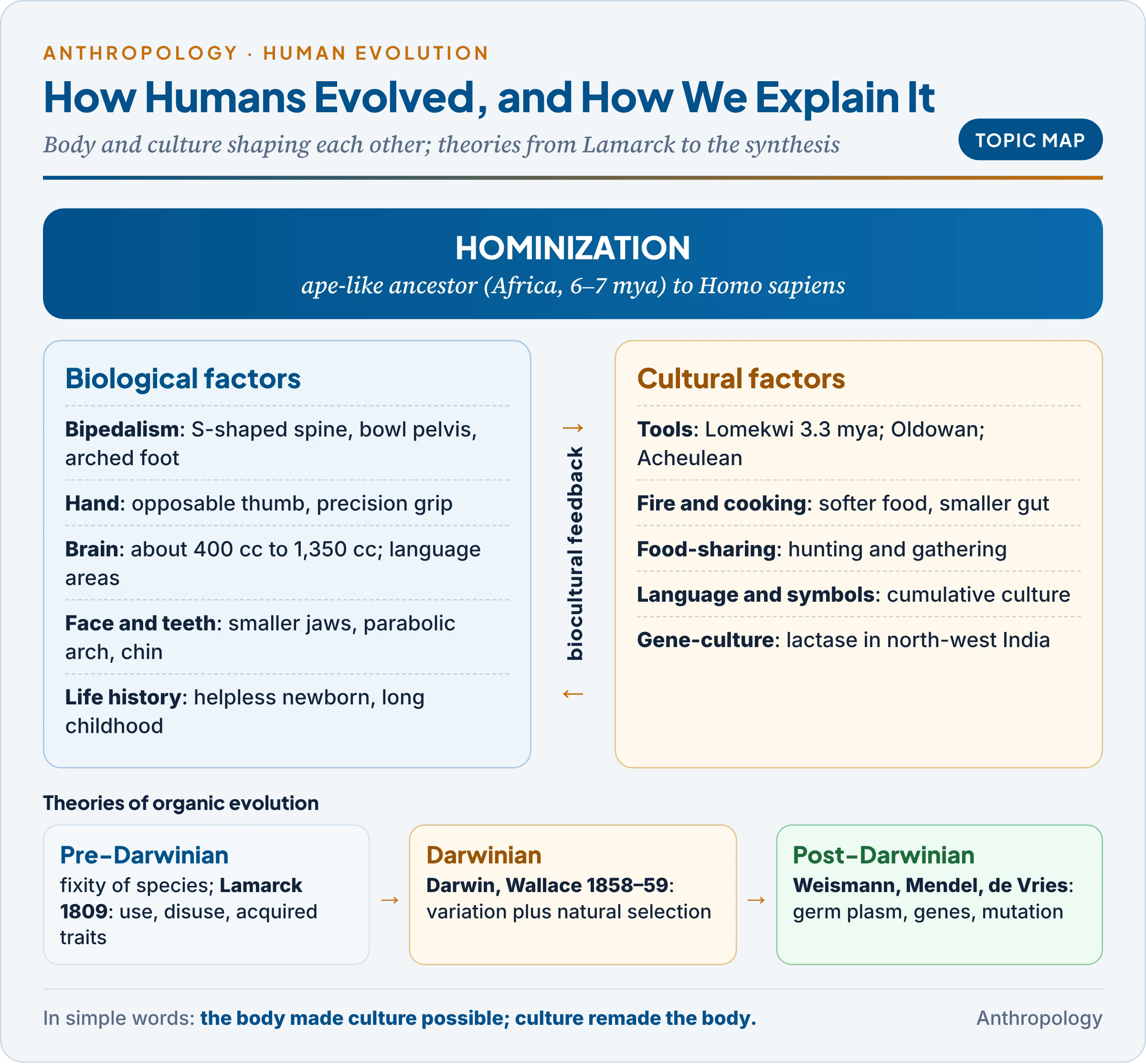 Topic map: human evolution as a biocultural process, and the three phases of evolutionary theory from Lamarck to the eve of the synthesis